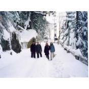 Dalhousie-.jpg