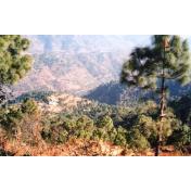 Kasauli.jpg