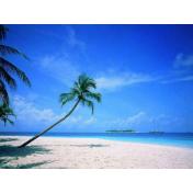 Kerala-Beach.jpg