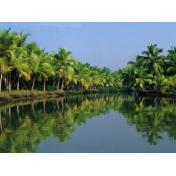 alleppey-backwater.jpg