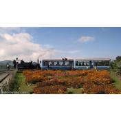 darjeeling-himalayan-toy-train.jpg