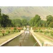 mughalgardenkashmir.jpg