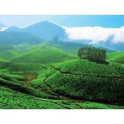 munnar.jpg