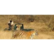 ranthambore.jpg