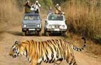 Rajasthan Wildlife with India Package